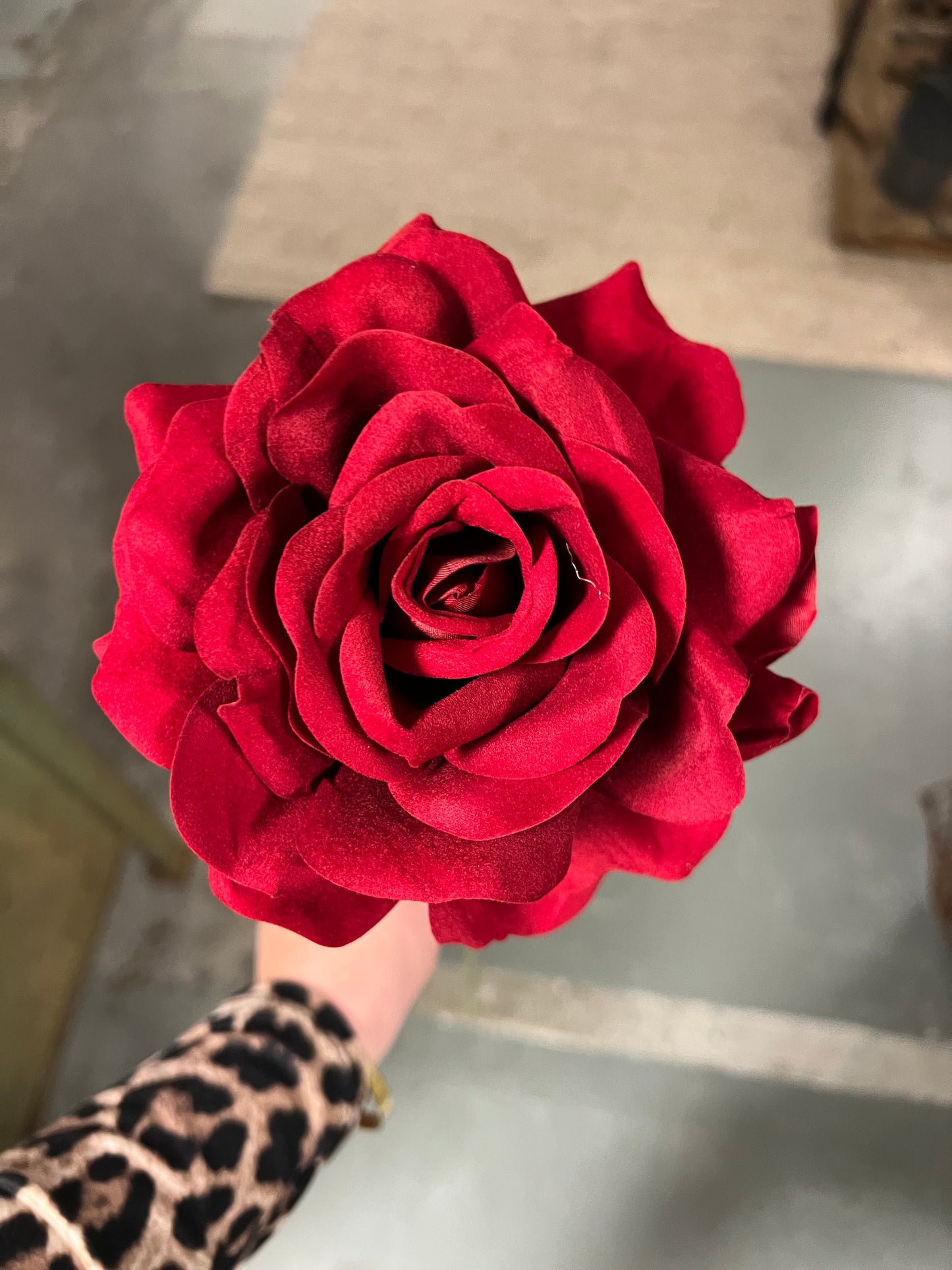 ROOS | ROOD | OPEN | ZIJDEN