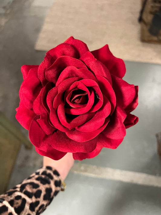 ROOS | ROOD | OPEN | ZIJDEN