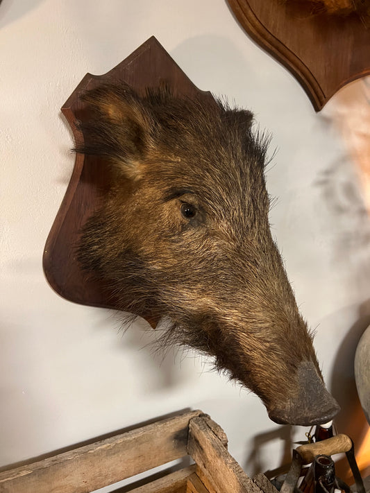 OUD | EVERZWIJN | BROCANTE | TAXIMERDIE