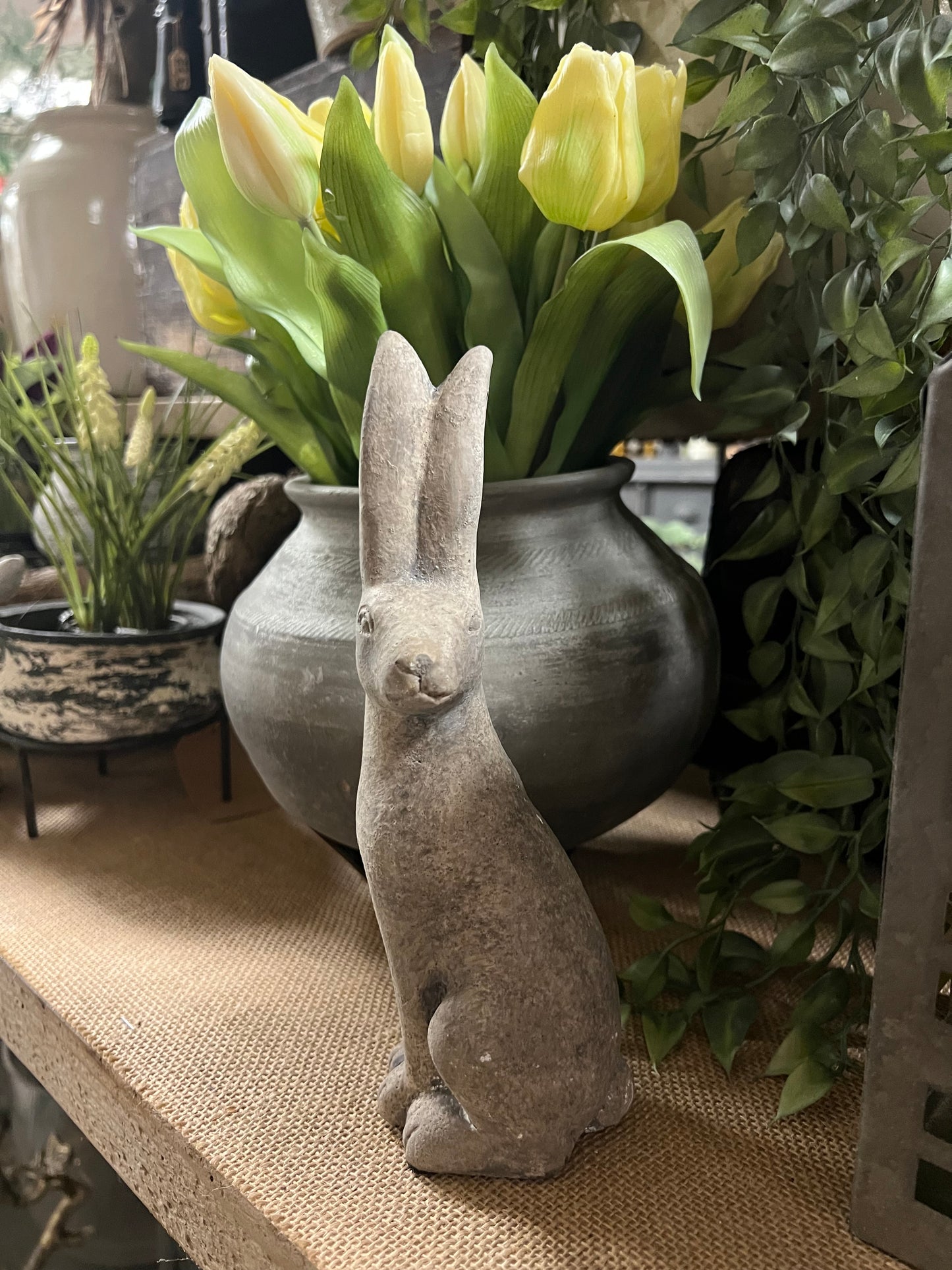 HAAS | STEEN | KLEIN | 2 | SOORTEN