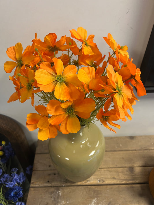 KUNST | COSMOS | SULPHUREUS | COSMEA | ORANJE