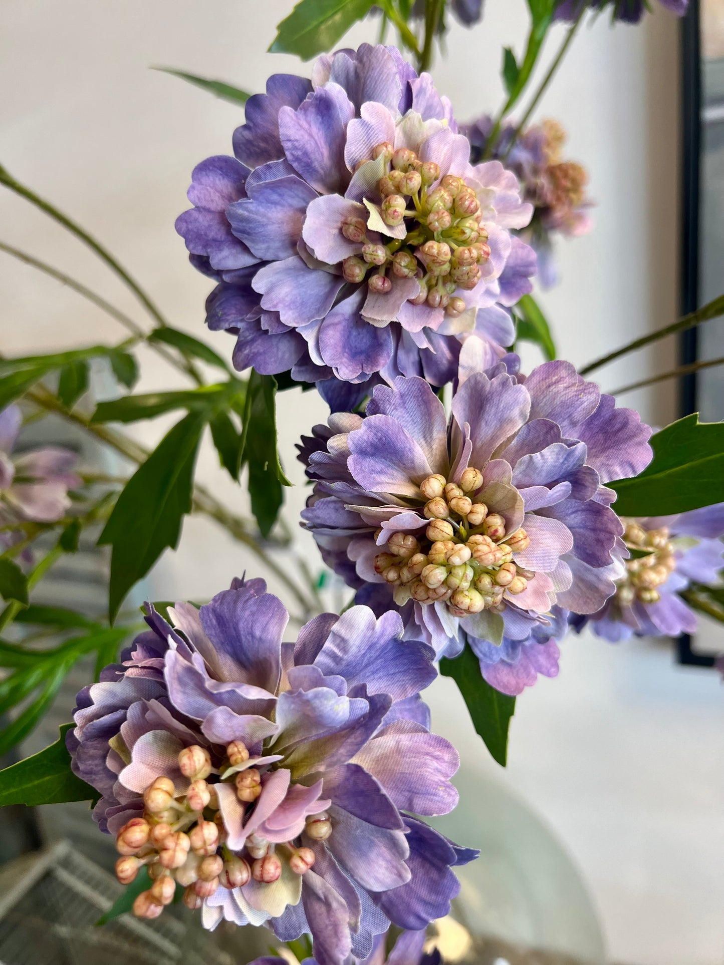 ZIJDEN | SCABIOSA | LILA