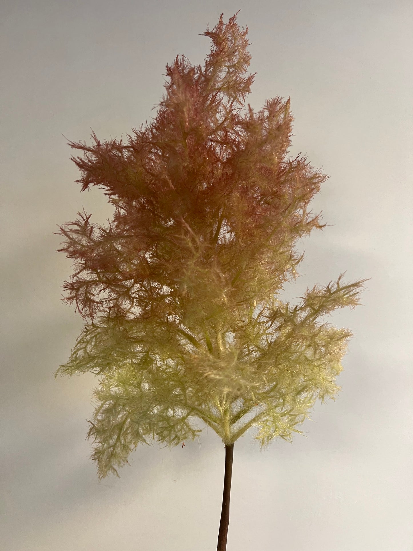 KUNST | WILDE | GRASSTEEL