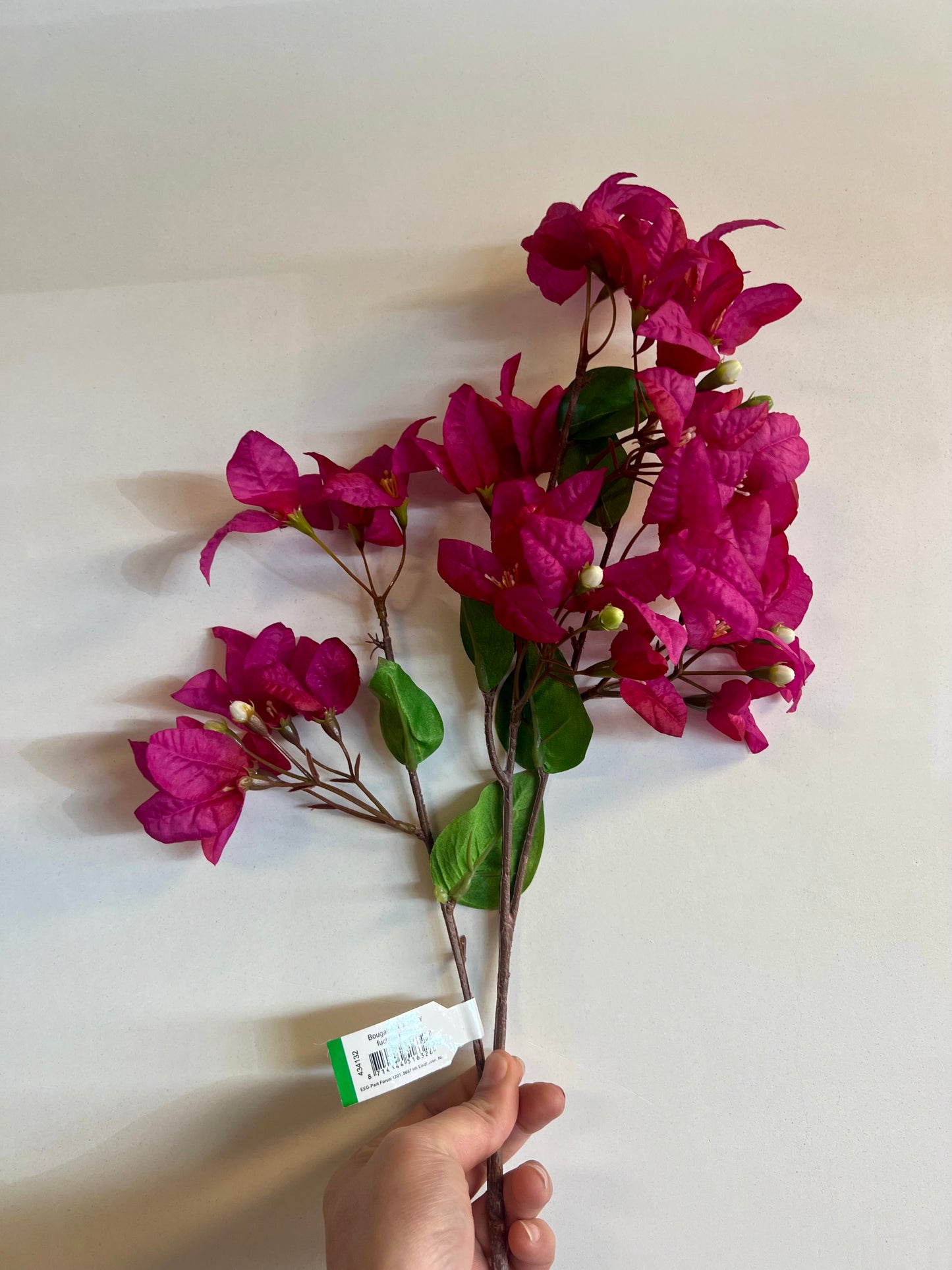 ZIJDEN | BOUGAINVILLEA | TAKKEN
