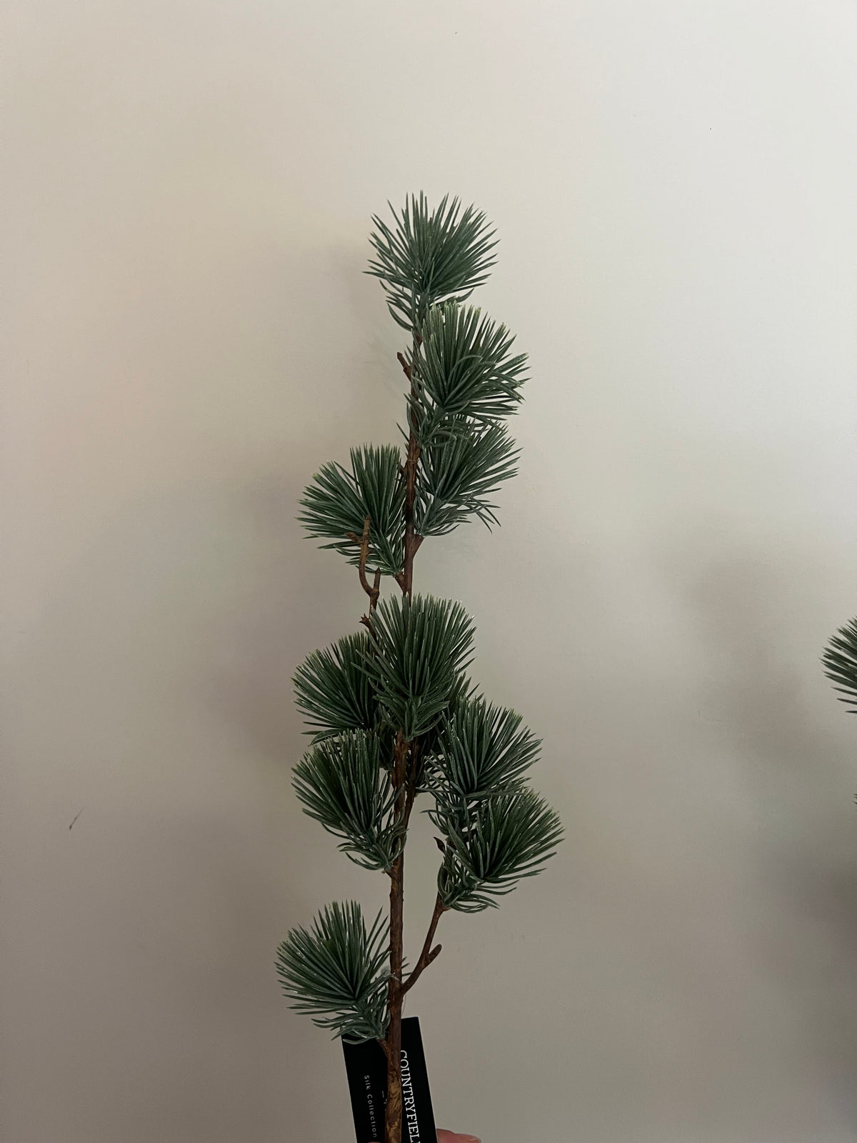 KUNST | NOBILIS | TAK