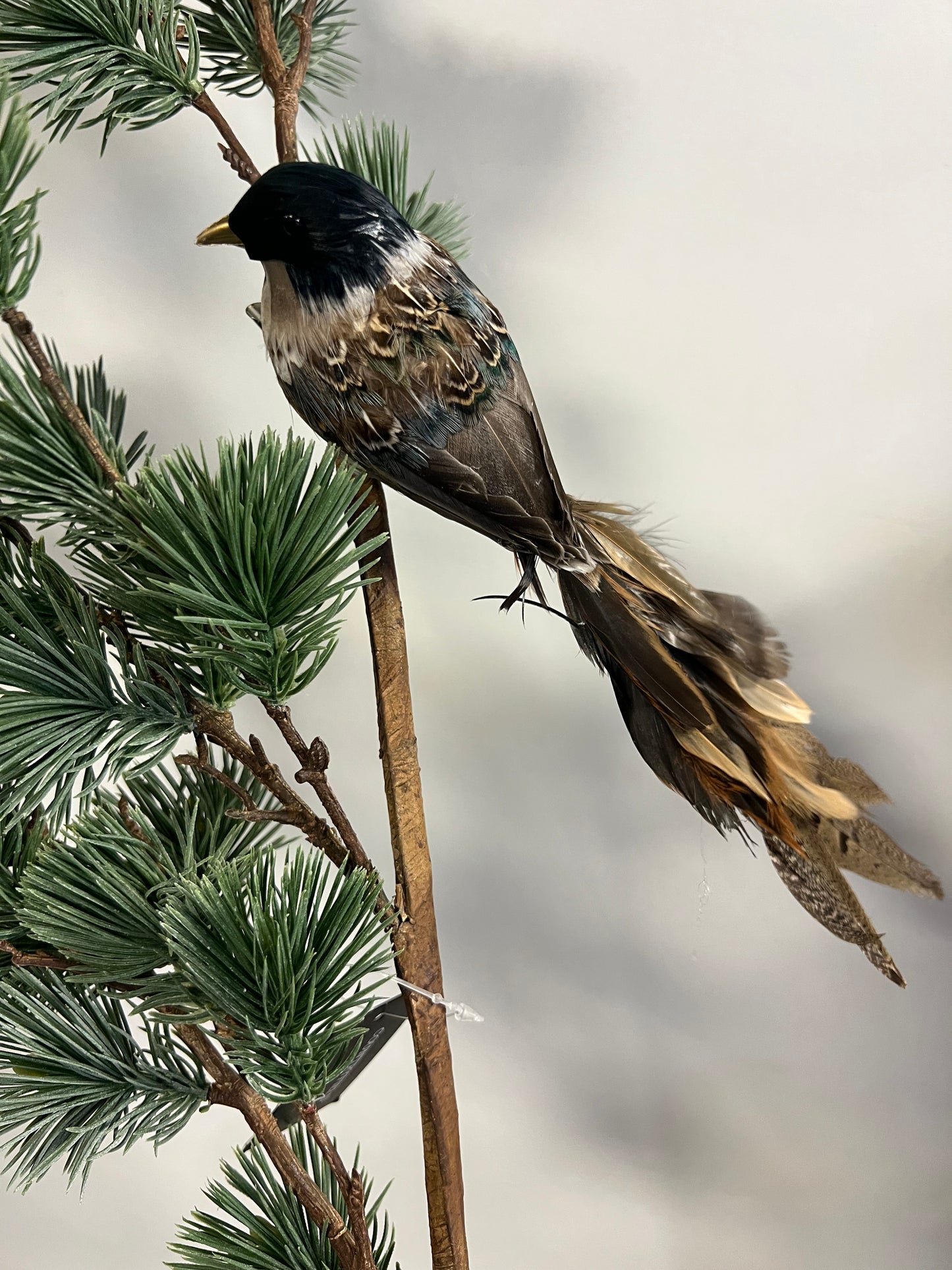 KUNST | VOGEL | MET | ECHTE | VEREN