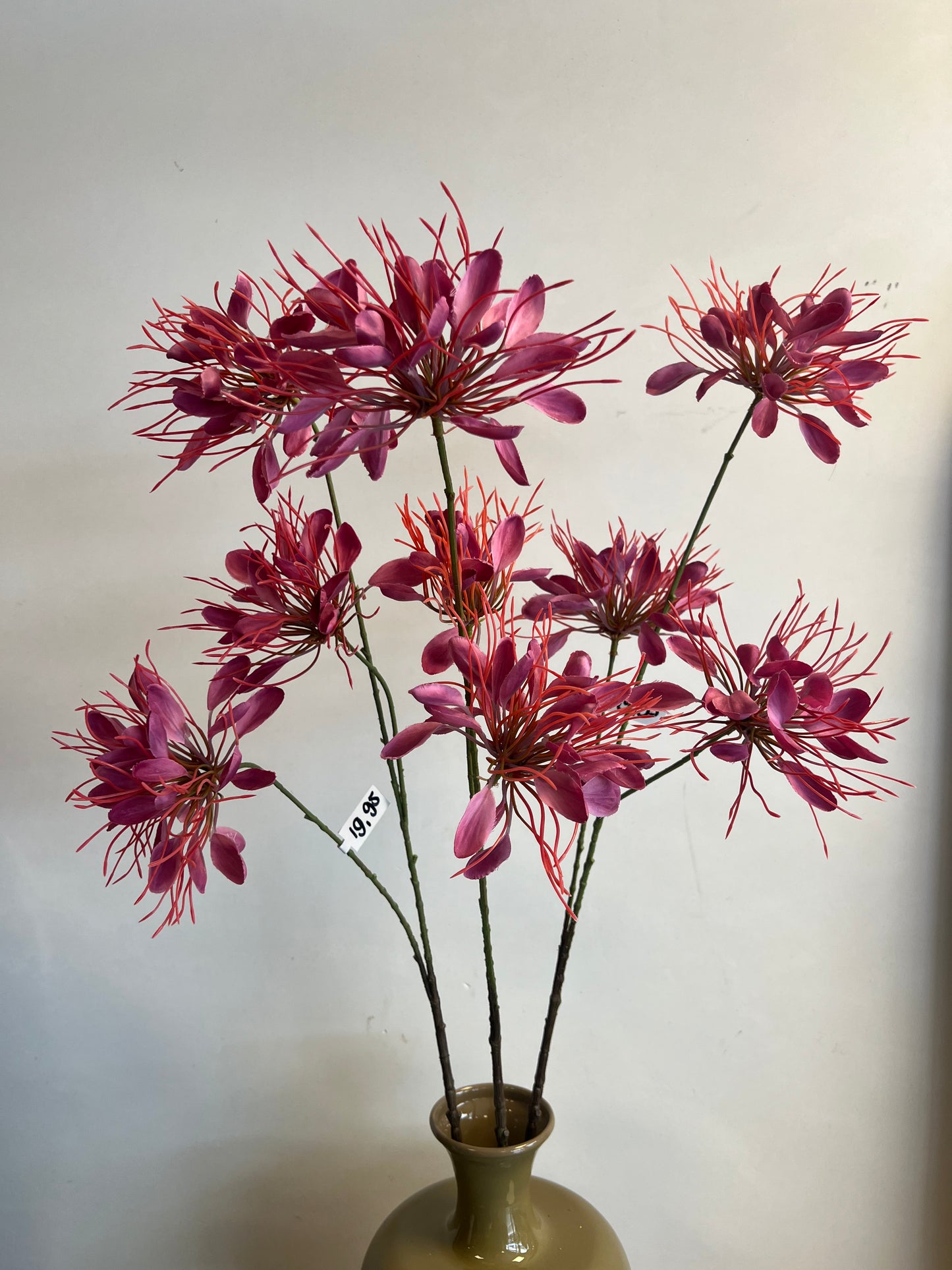 KUNST | SPIDERFLOWER | ROZE