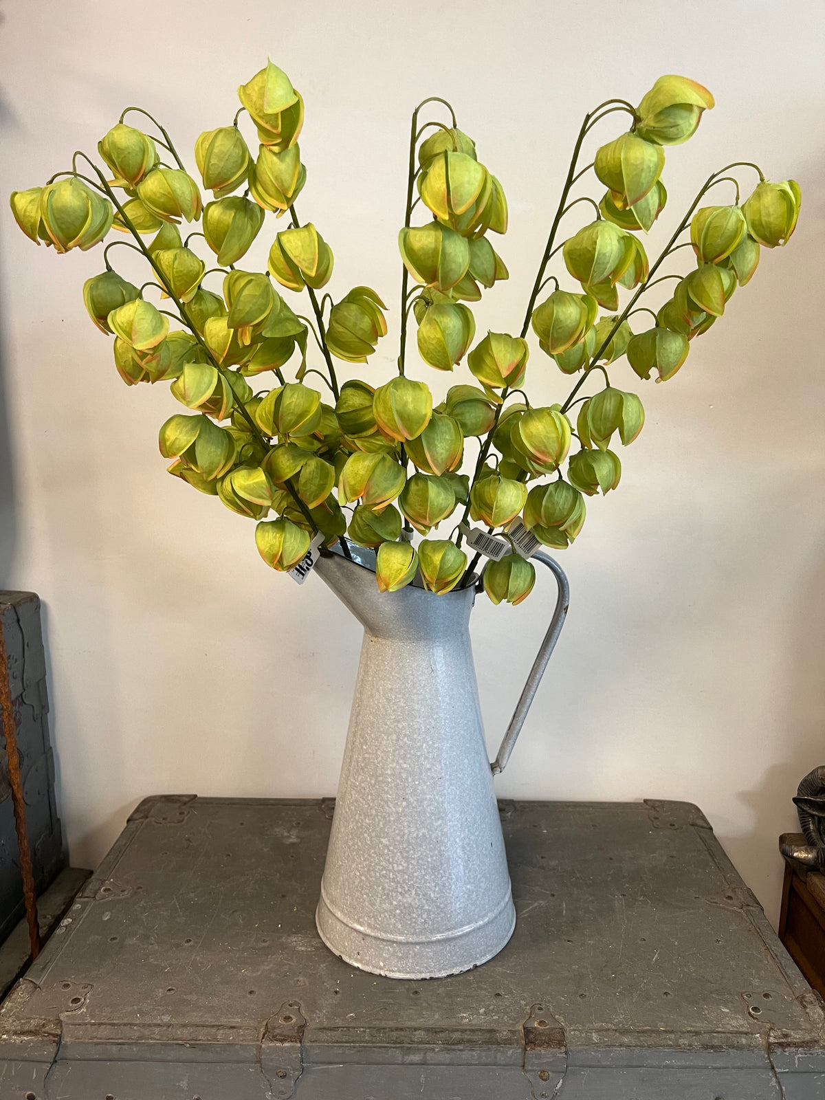 KUNST | PHYSALIS | LAMPIONS | GROEN