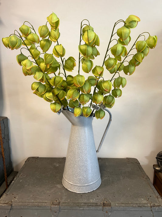 KUNST | PHYSALIS | LAMPIONS | GROEN