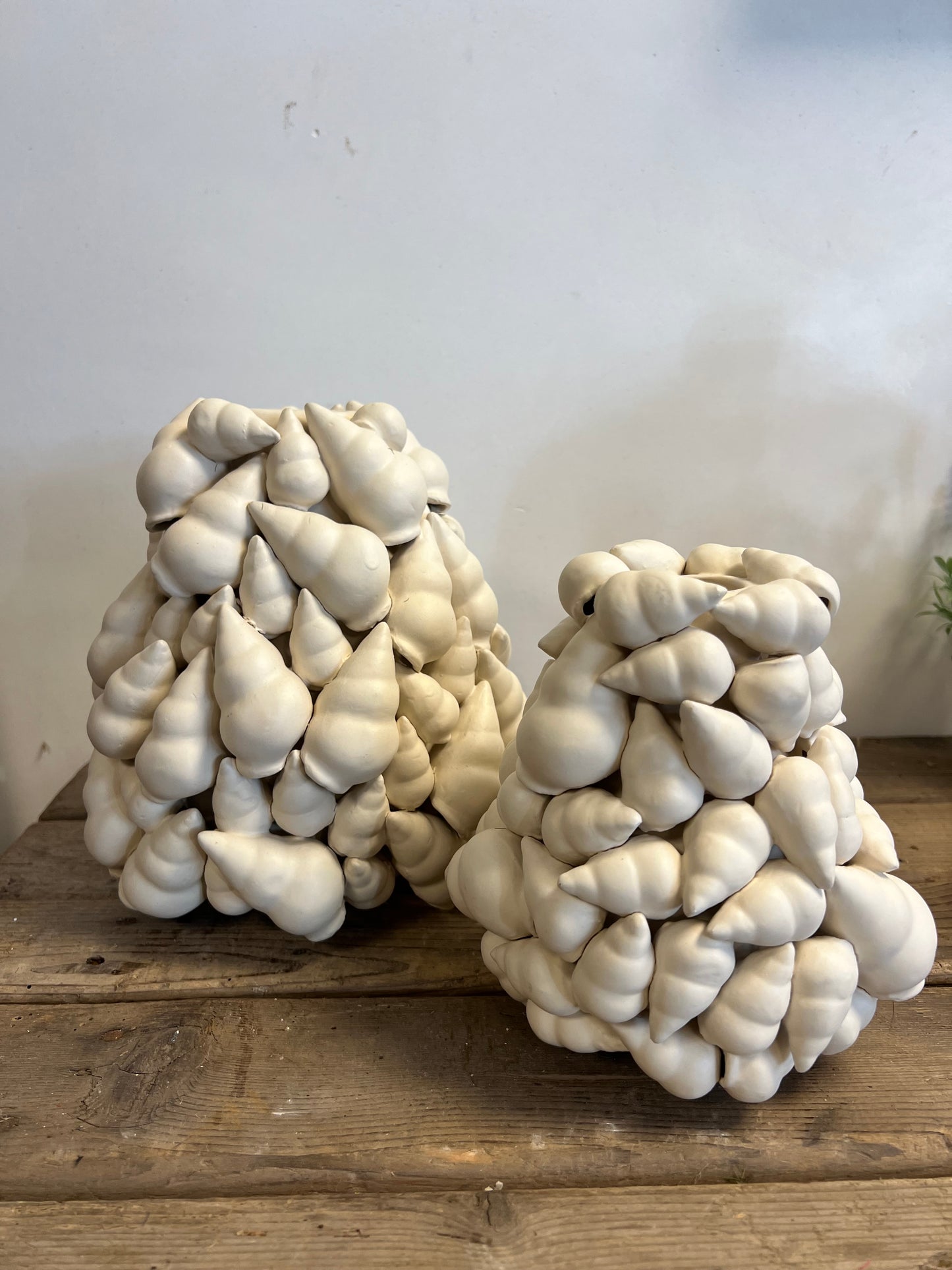 SCHELPEN | VAAS | BEIGE | 2 MATEN