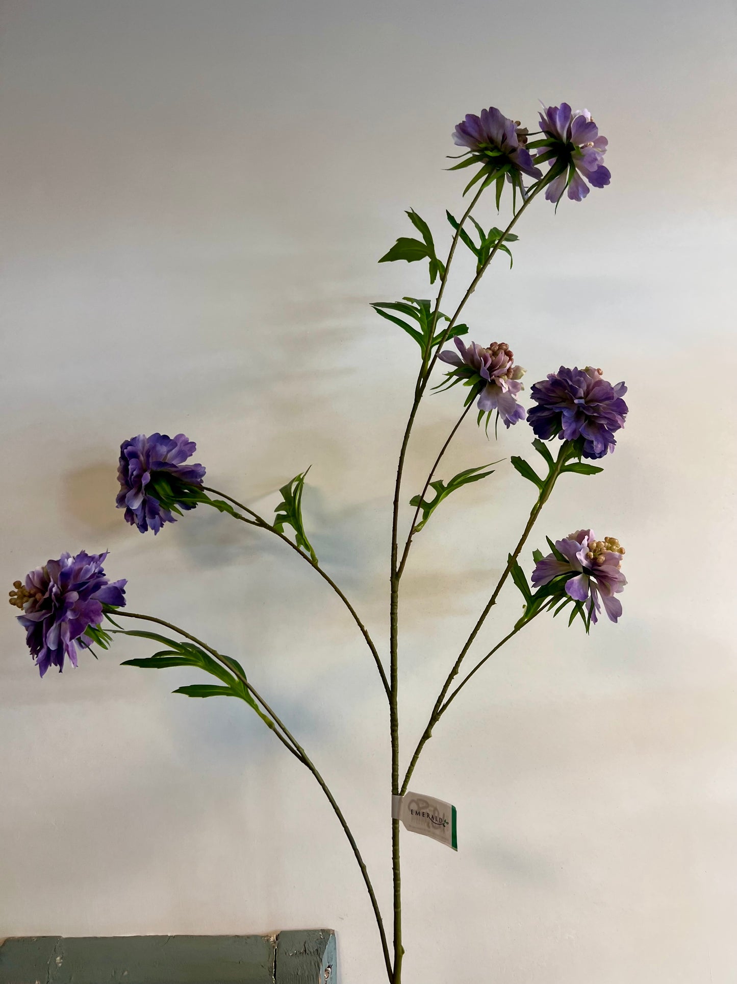 ZIJDEN | SCABIOSA | LILA