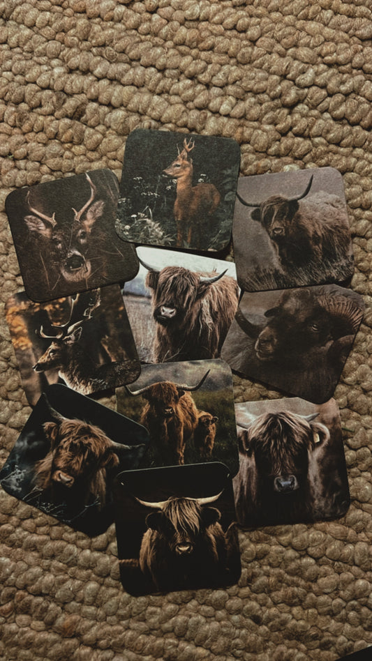VILTJES | DIEREN | ZELF | SAMEN | STELLEN