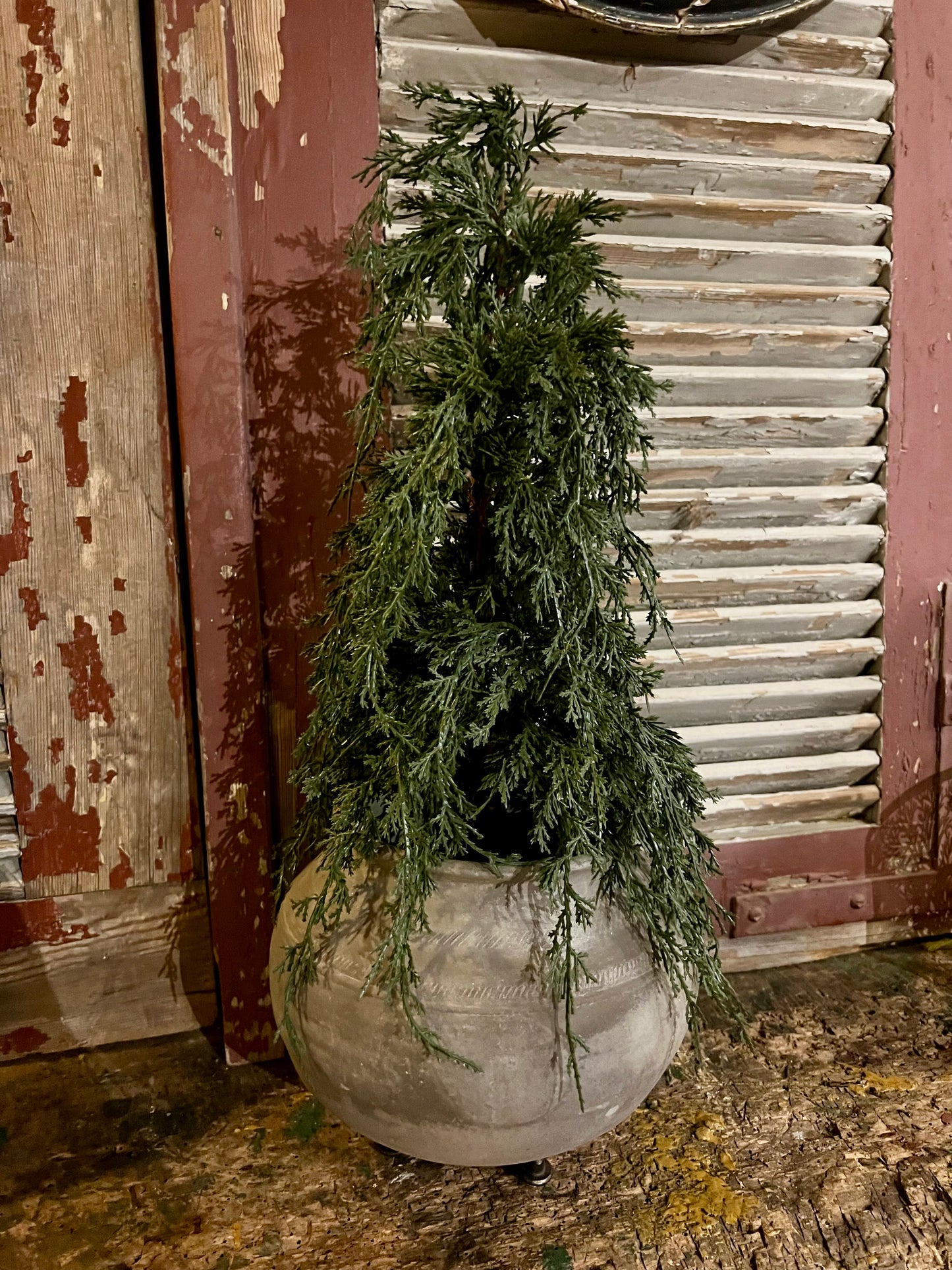 KUNST | BOOM | INCL | POT | OP | STANDAARD