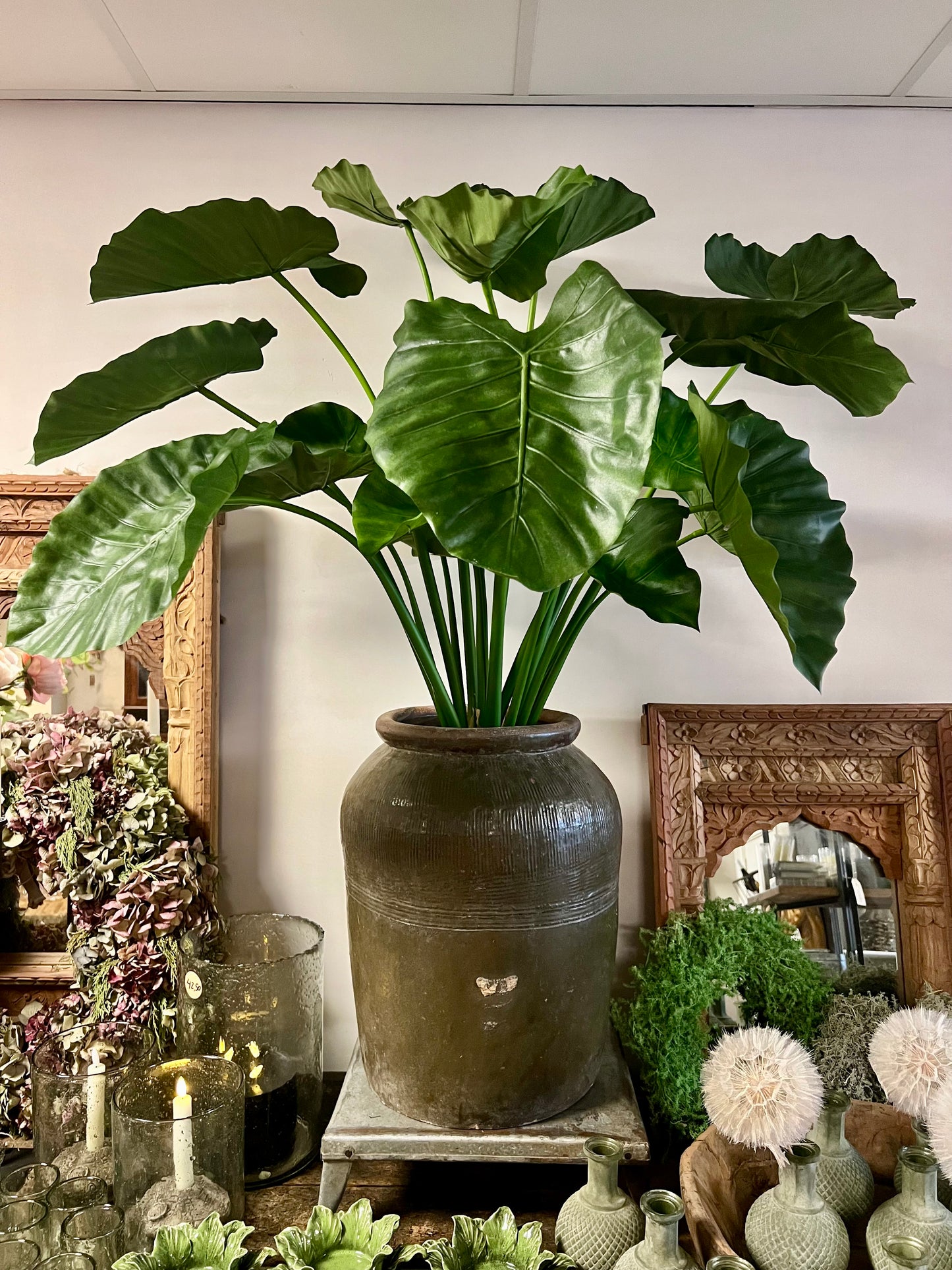 ALOCASIA | CALIDORA | 95 CM | KUNST