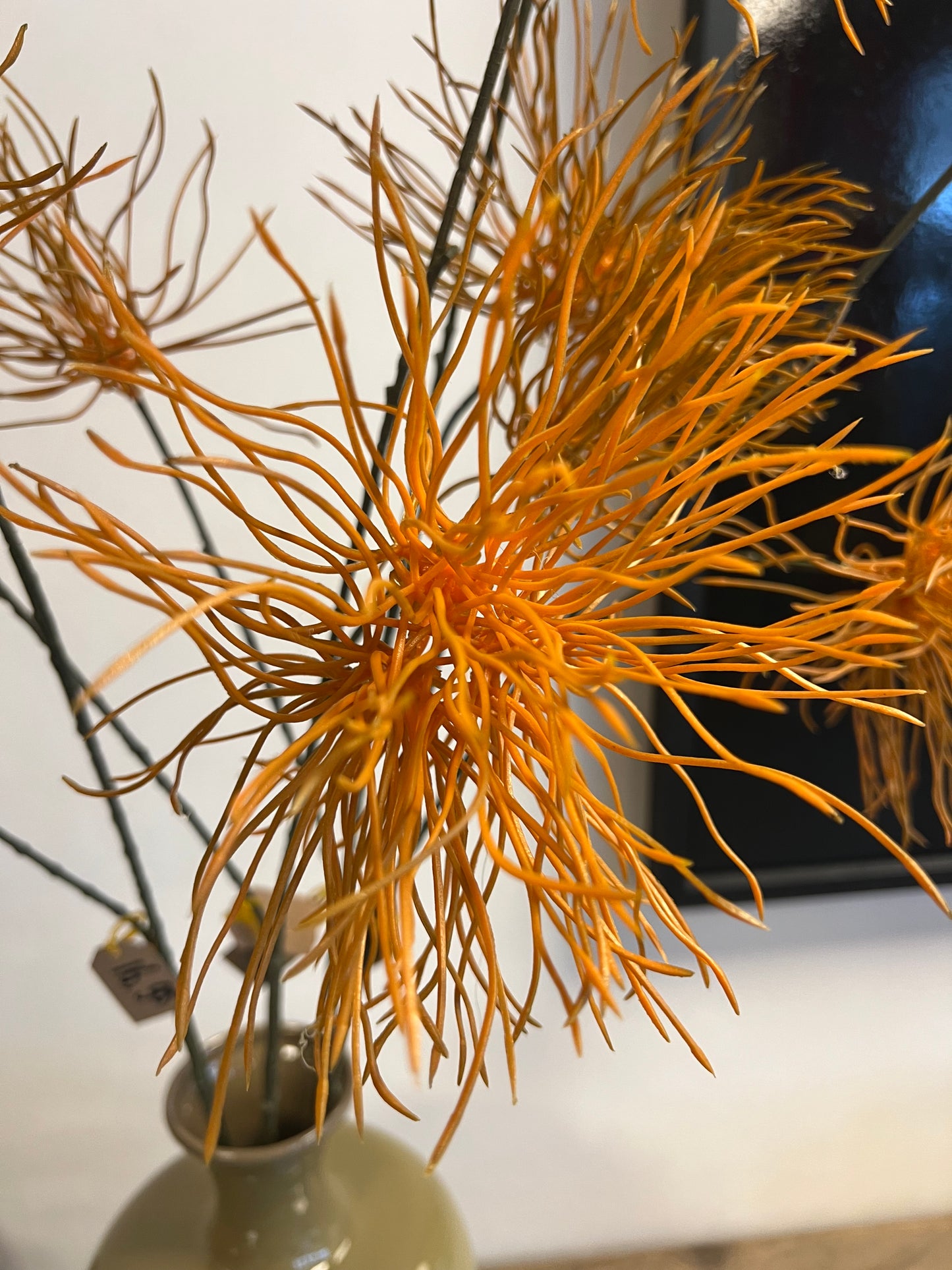 KUNST | GREVILLEA | ORANJE | TERRA