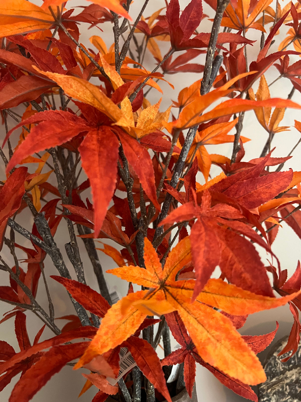 KUNST | TAK | MAPLE | ORANJE | 110 CM