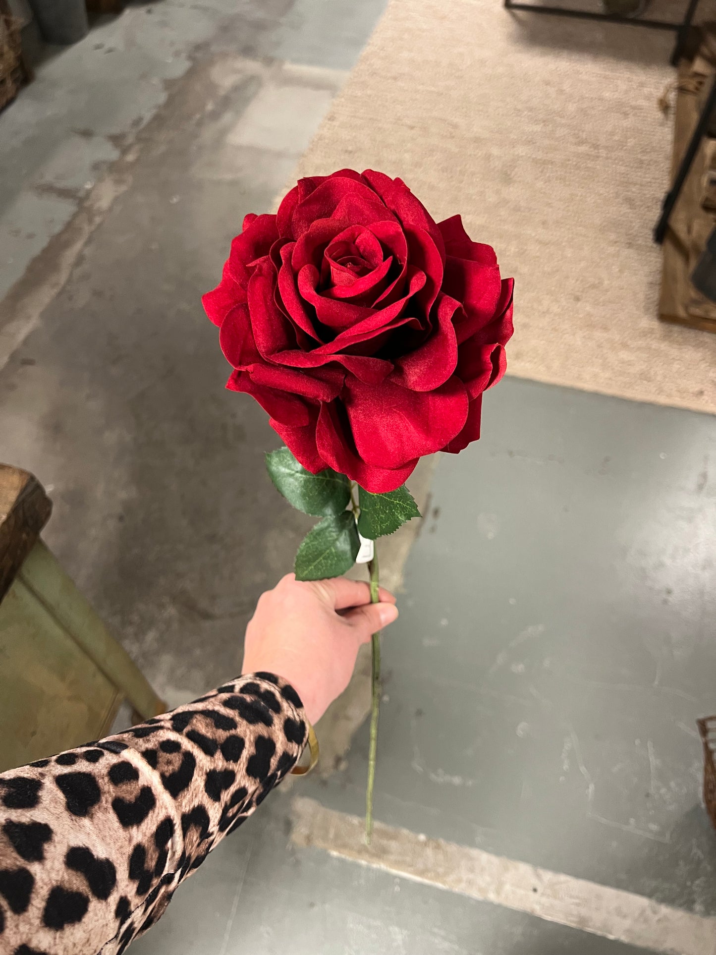 ROOS | ROOD | OPEN | ZIJDEN