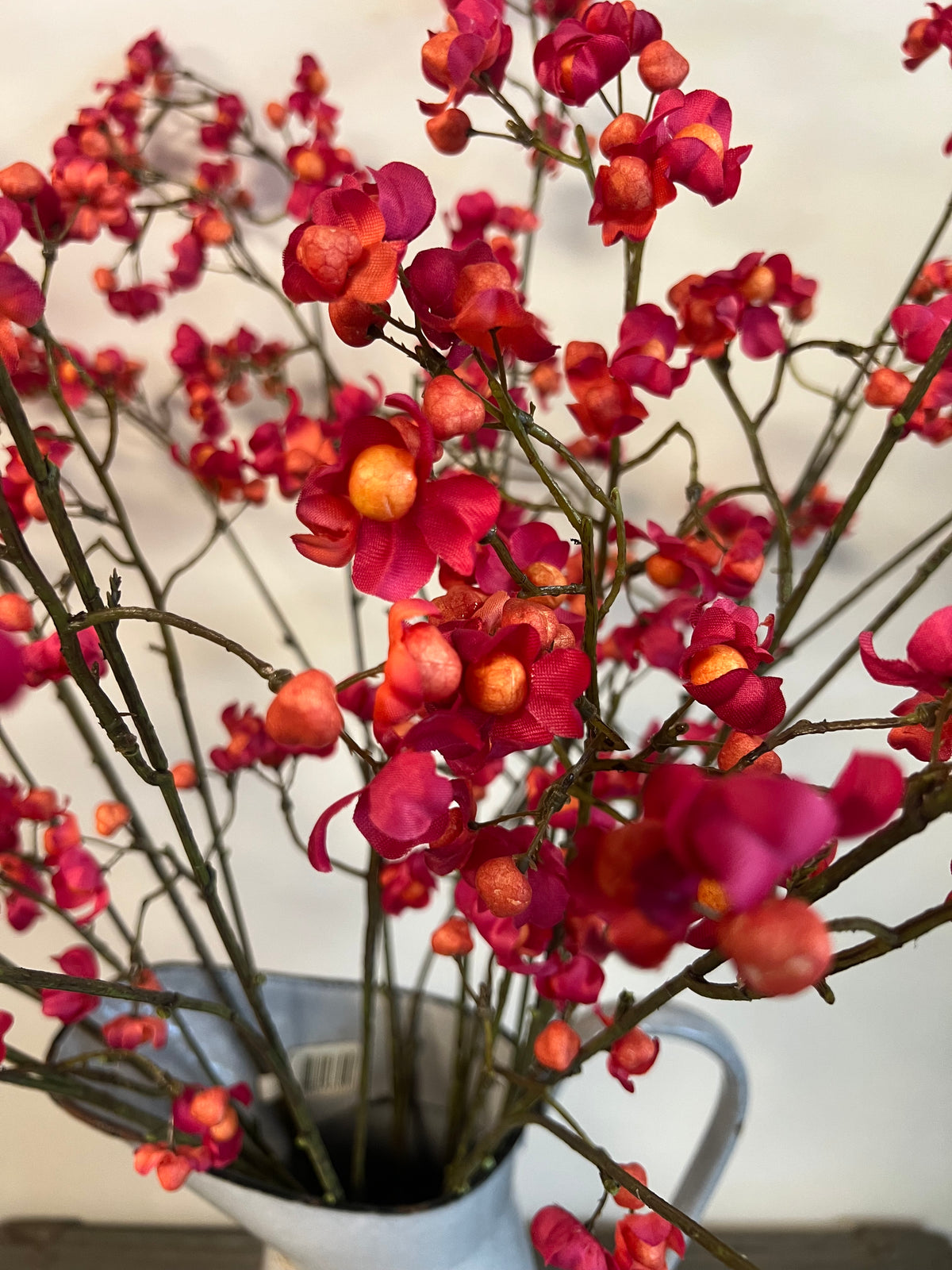 KUNST | KARDINAALSMUTS | EUPONYMOUS | ROZE | ORANJE | 90 CM