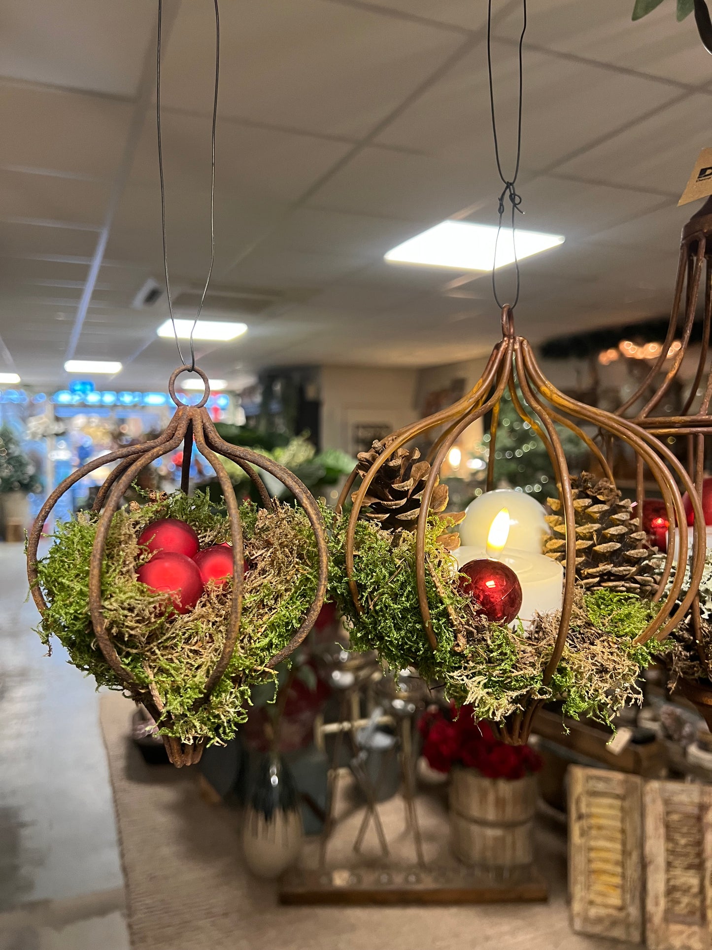 ROESTPUNT | ROEST | ROESTHANGER | 2 MATEN