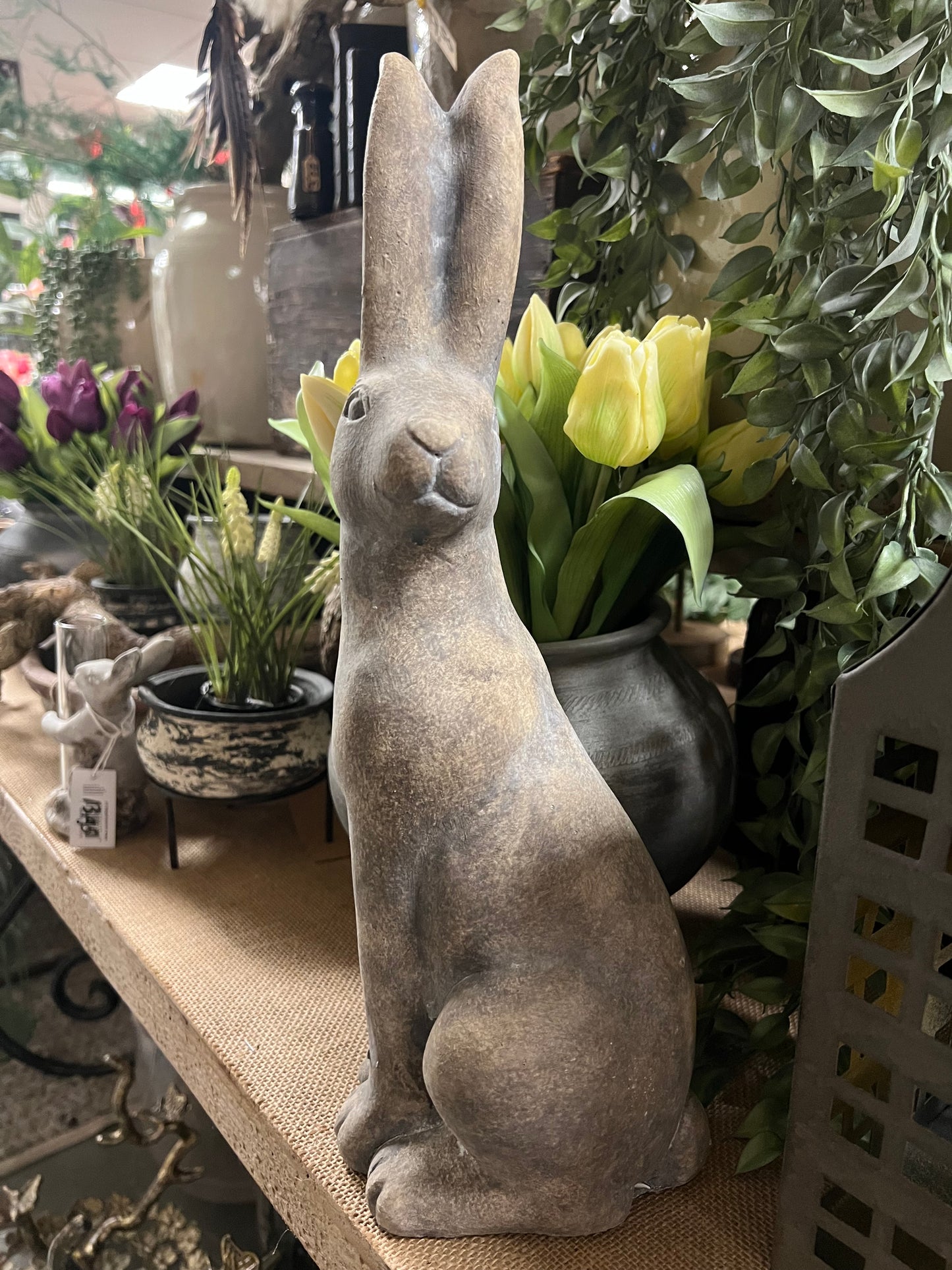 HAAS | STEEN | 2 | SOORTEN | GROOT