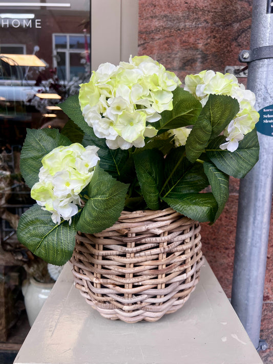 PLANTENMAND | ROTAN | KLEIN