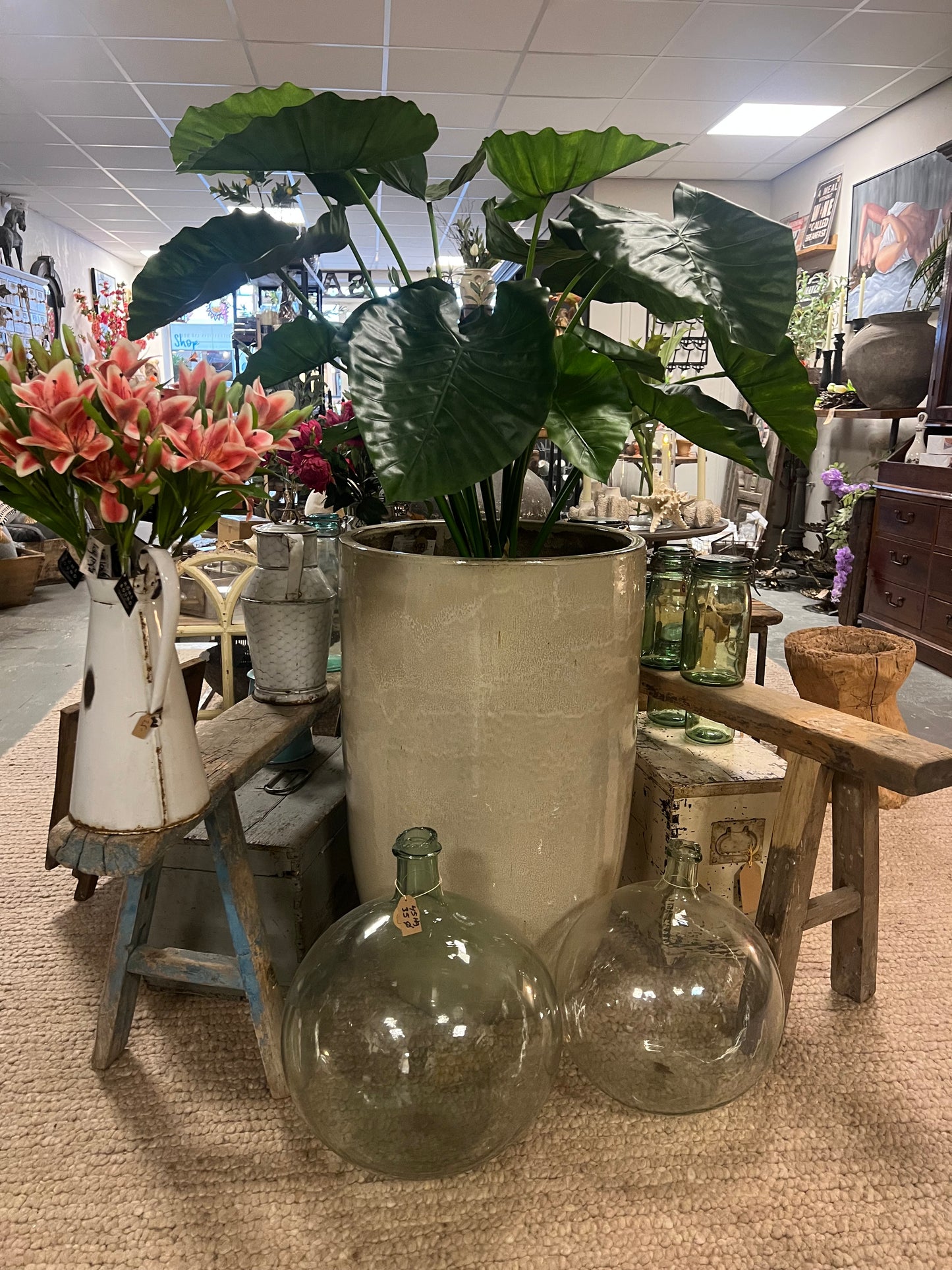 BEIGE | POT | XXL