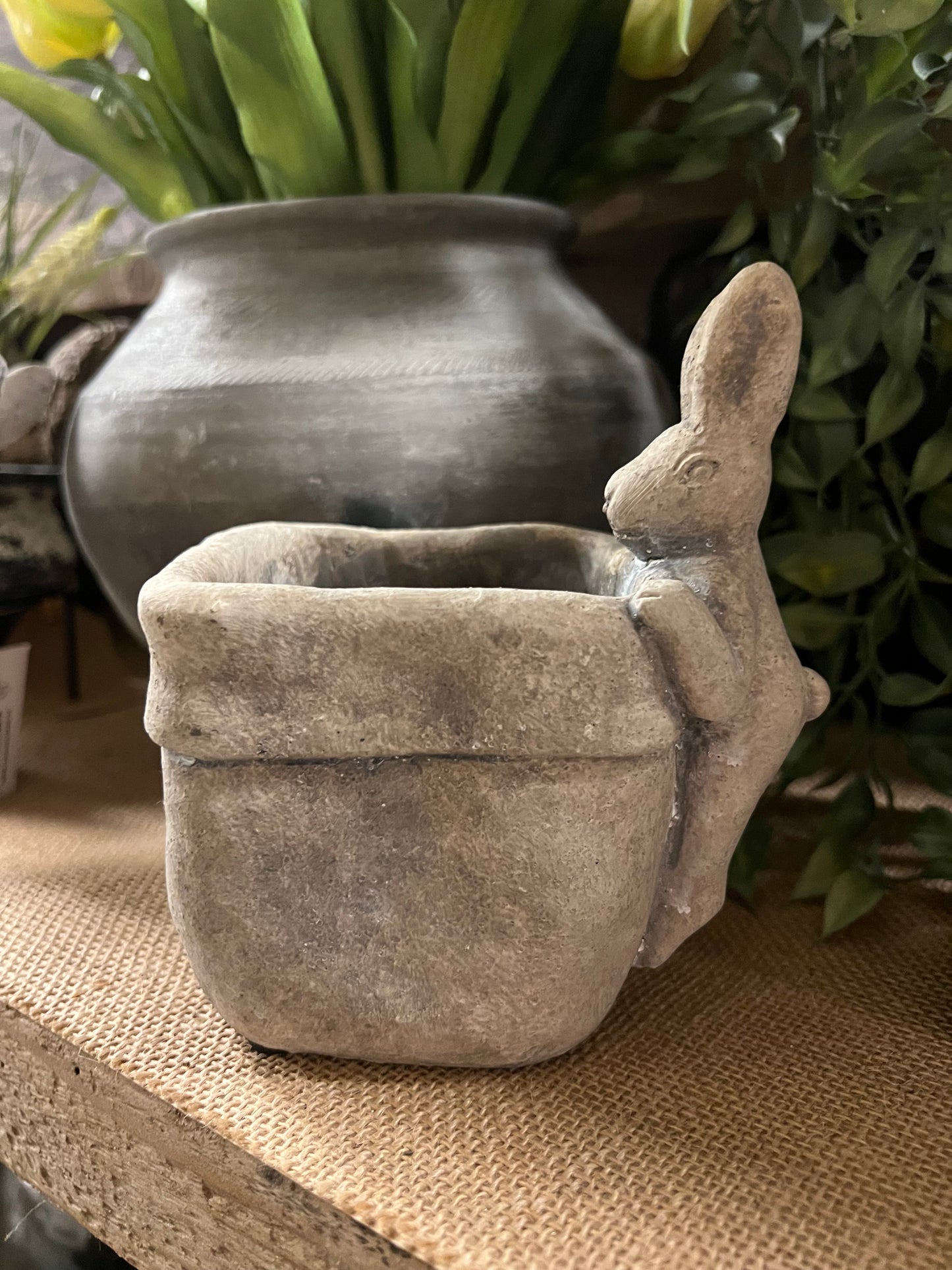 PLANTENPOT | HAAS | STEEN