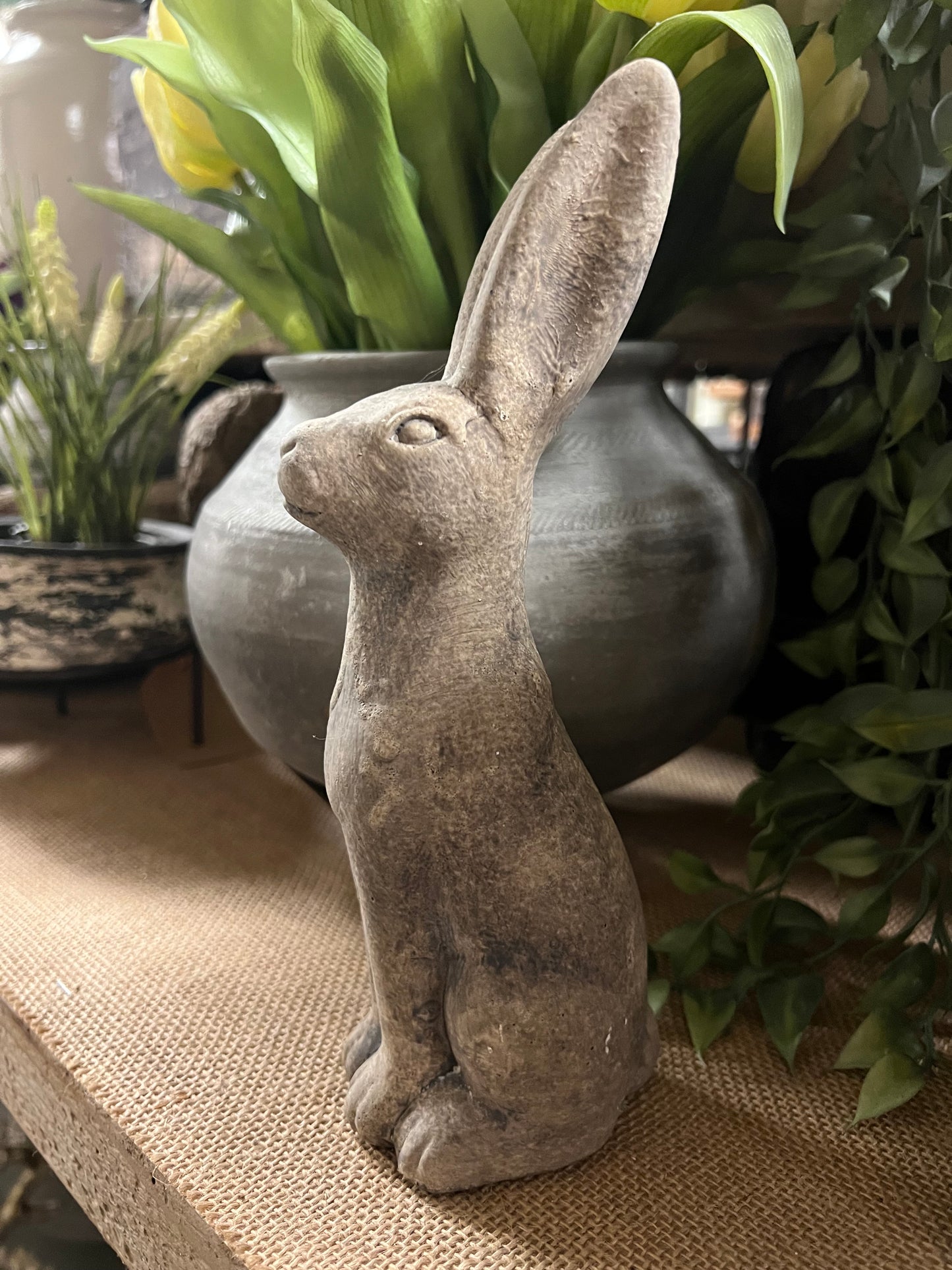 HAAS | STEEN | KLEIN | 2 | SOORTEN