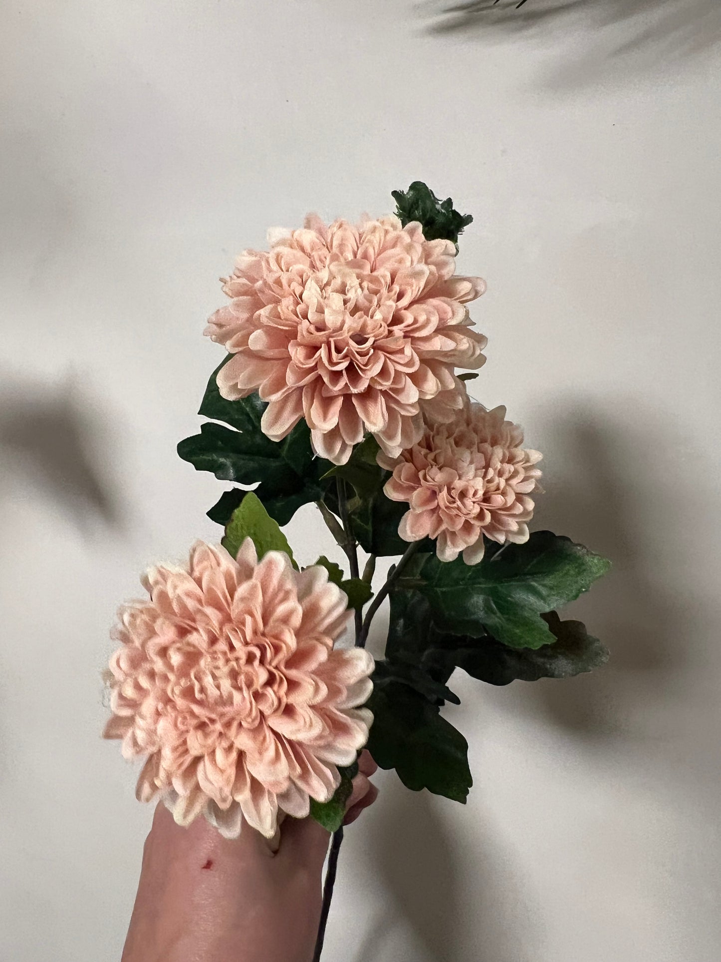 ZIJDEN | KLEINE | DALIHA | 2 | KLEUREN