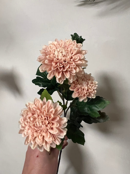 ZIJDEN | KLEINE | DALIHA | 2 | KLEUREN