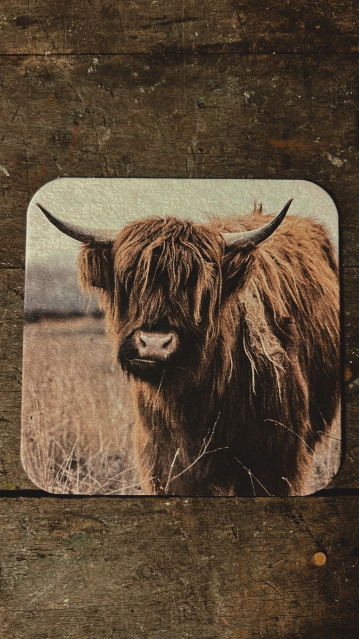 VILTJES | DIEREN | ZELF | SAMEN | STELLEN