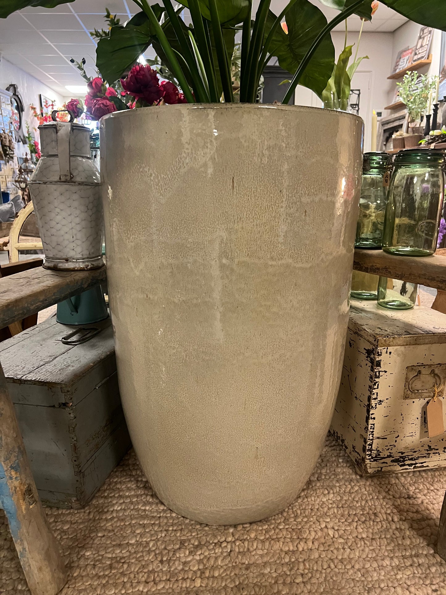 BEIGE | POT | XXL