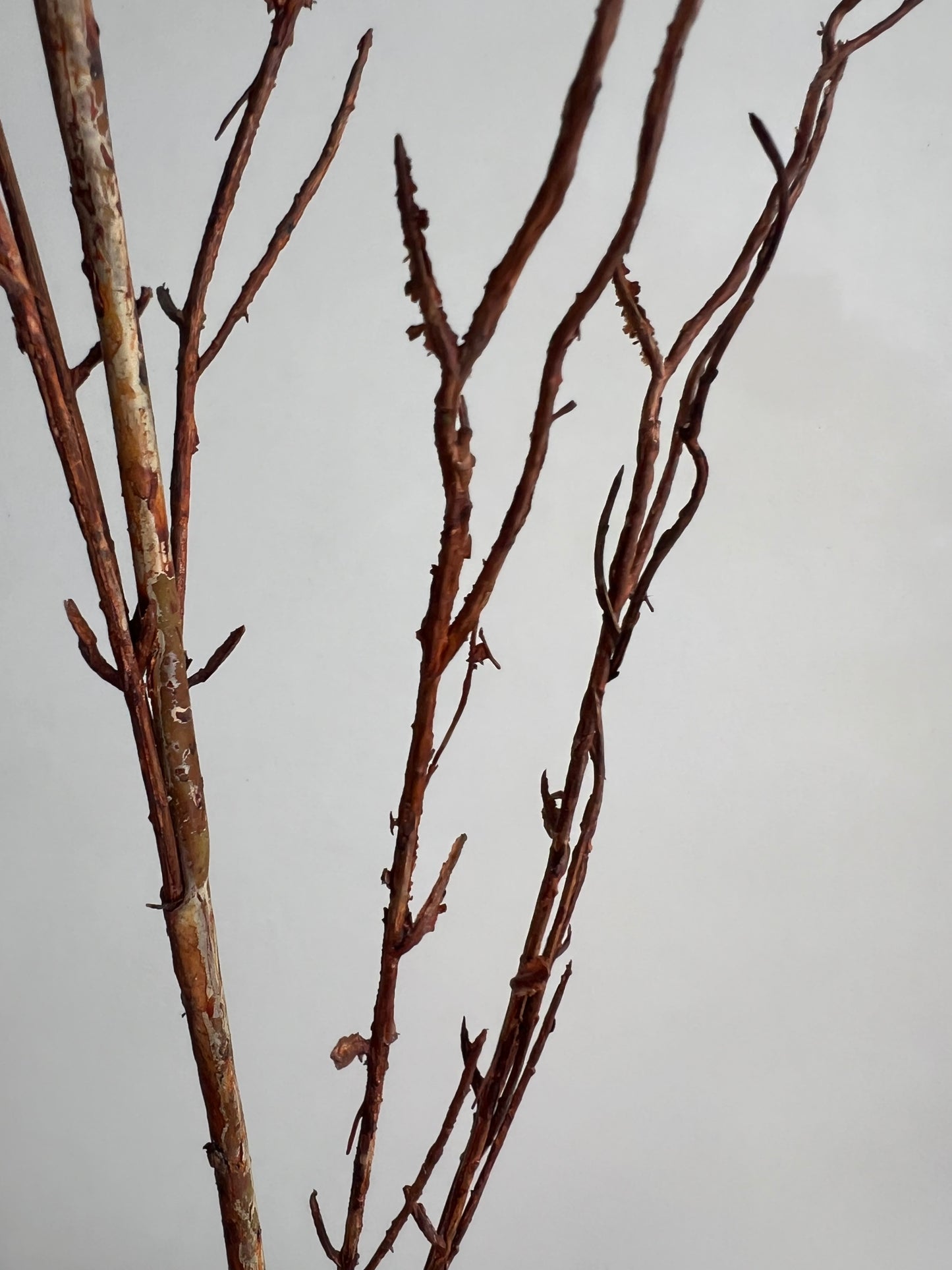 KUNST | TAK | 130 cm