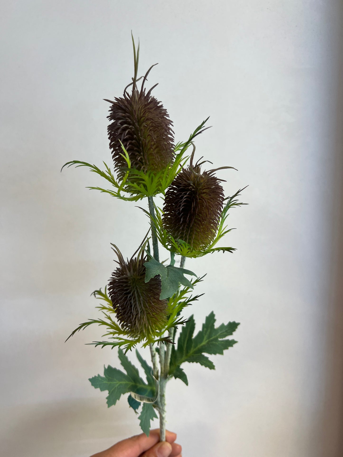 KUNST | DISTELS | PAARS | 69 CM