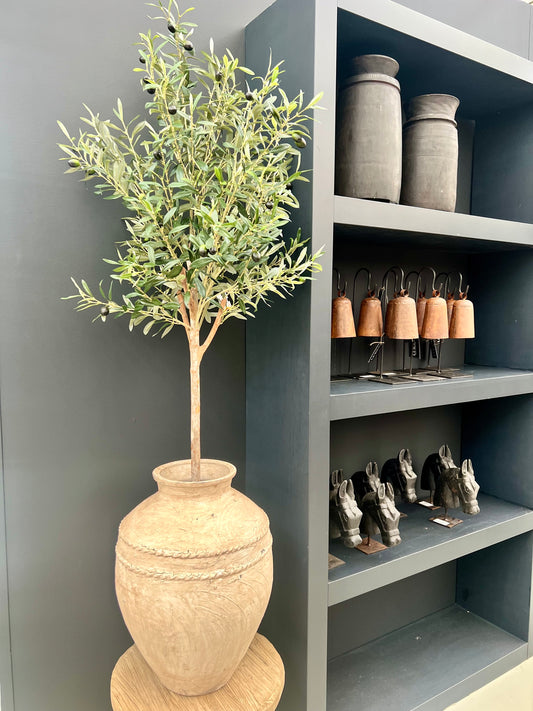 OUDE | WATERKRUIK | BEIGE