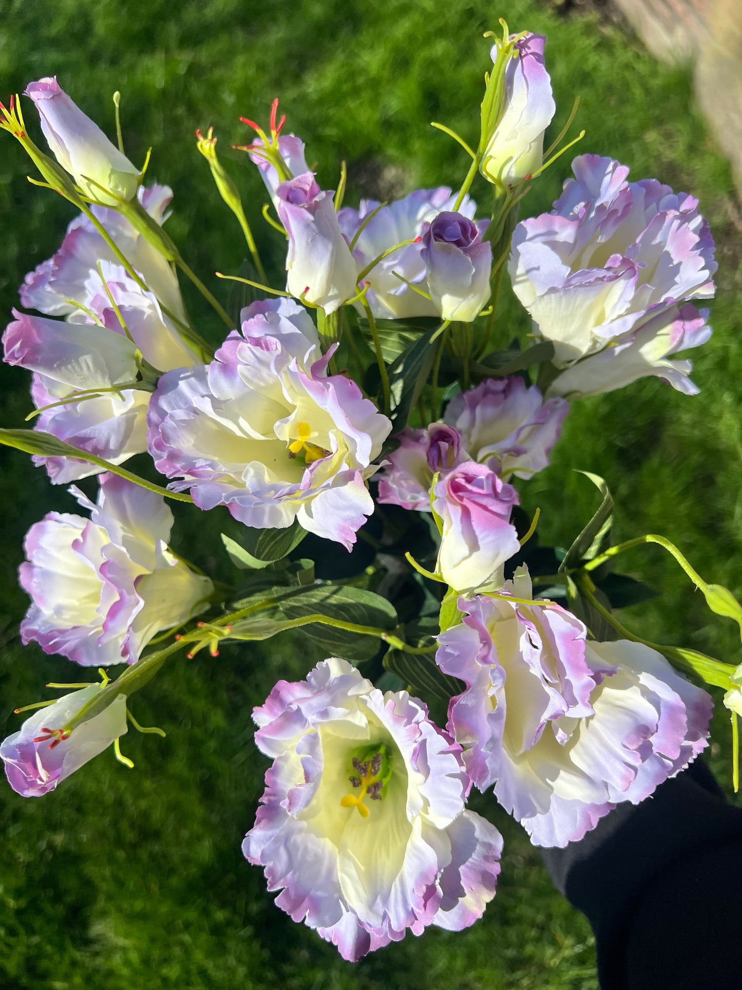 ZIJDEN | LISIANTHUS