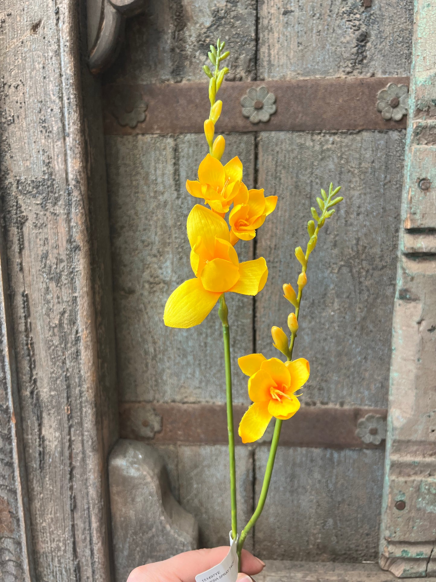 KUNST | FREESIA | GEEL