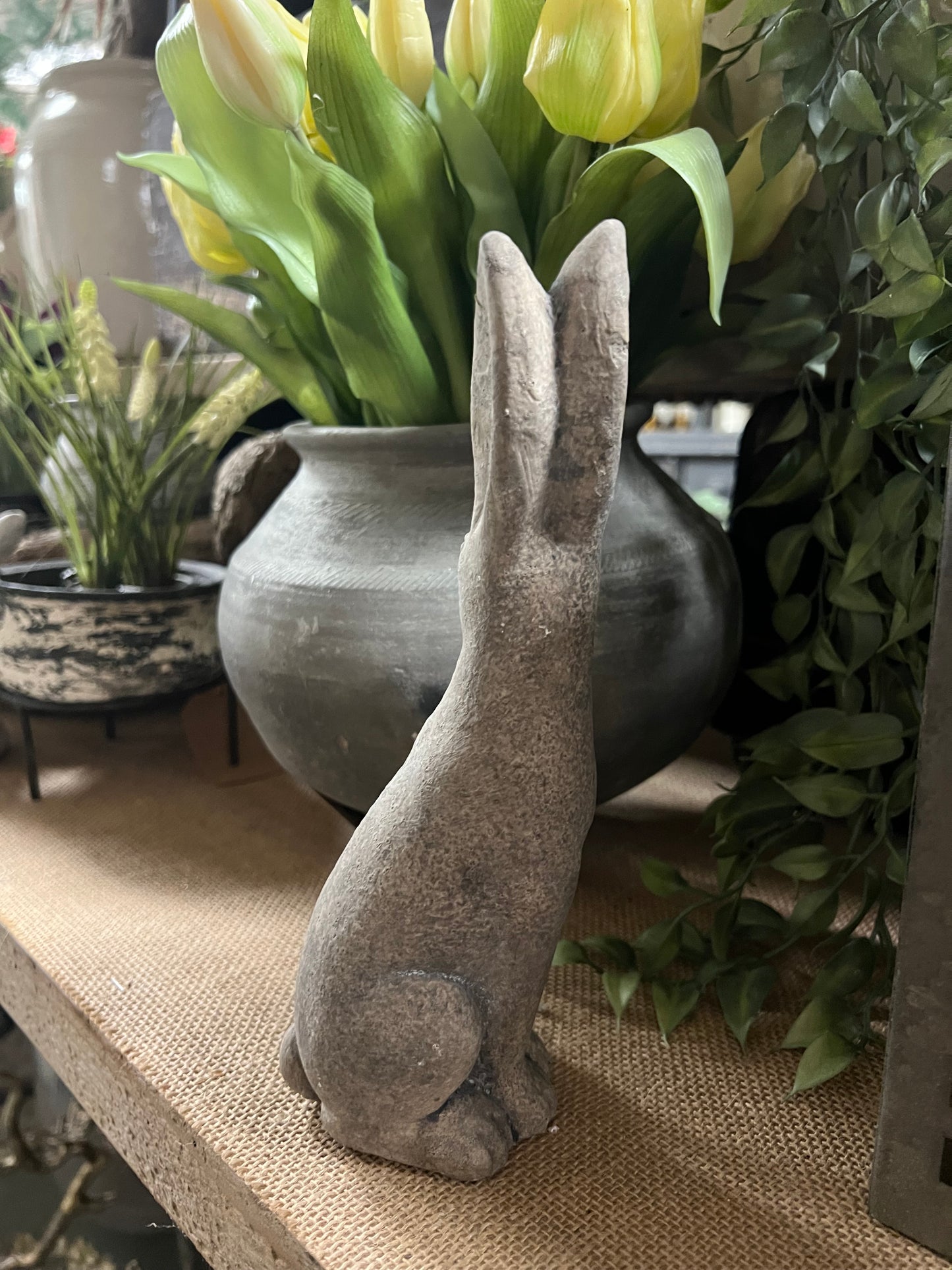 HAAS | STEEN | KLEIN | 2 | SOORTEN