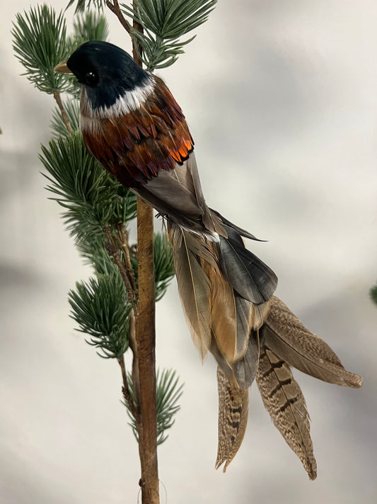 KUNST | VOGEL | MET | ECHTE | VEREN