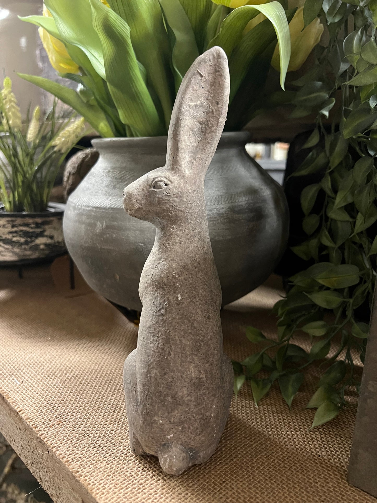 HAAS | STEEN | KLEIN | 2 | SOORTEN