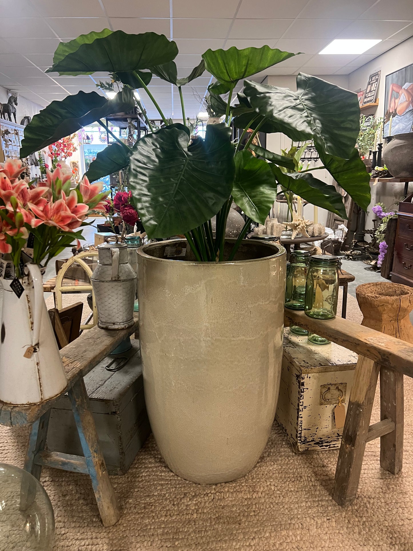 BEIGE | POT | XXL