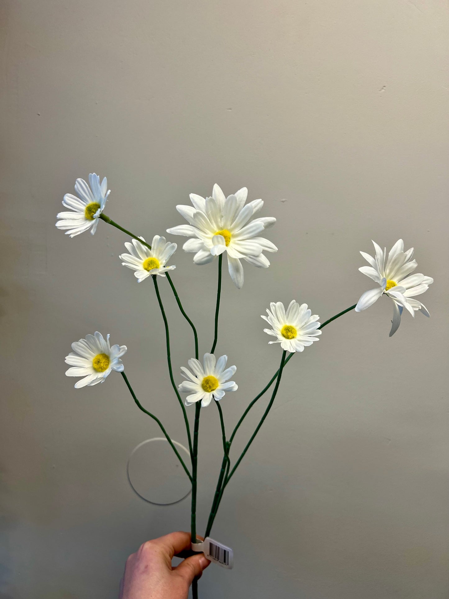 ZIJDEN | WITTE | MARGRIETJES