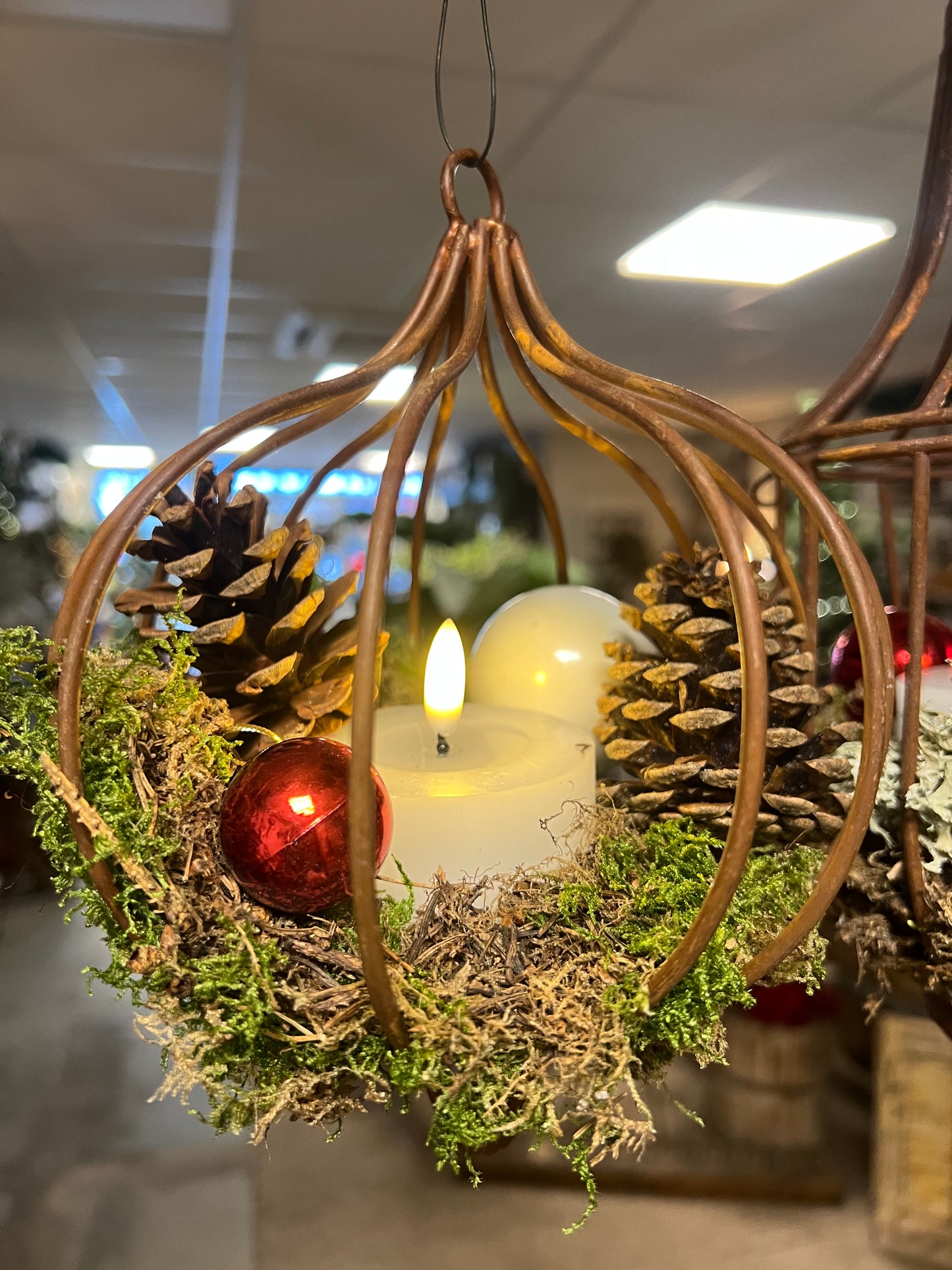 ROESTPUNT | ROEST | ROESTHANGER | 2 MATEN