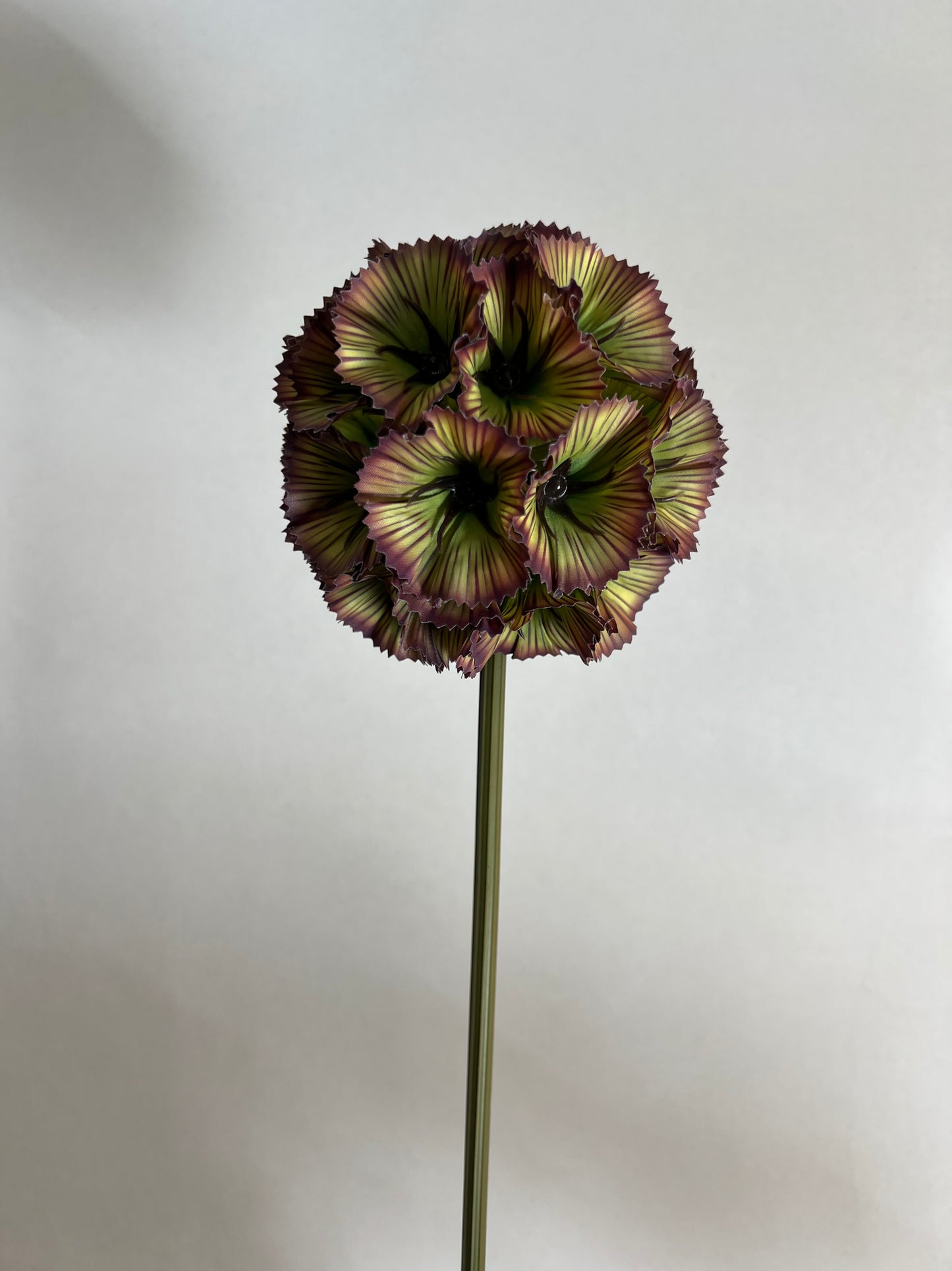 KUNST | SCABIOSA | GROEN | GROOT