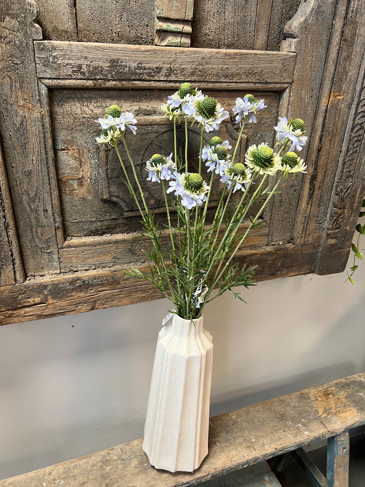 KUNST | SCABIOSA | LAVENDEL