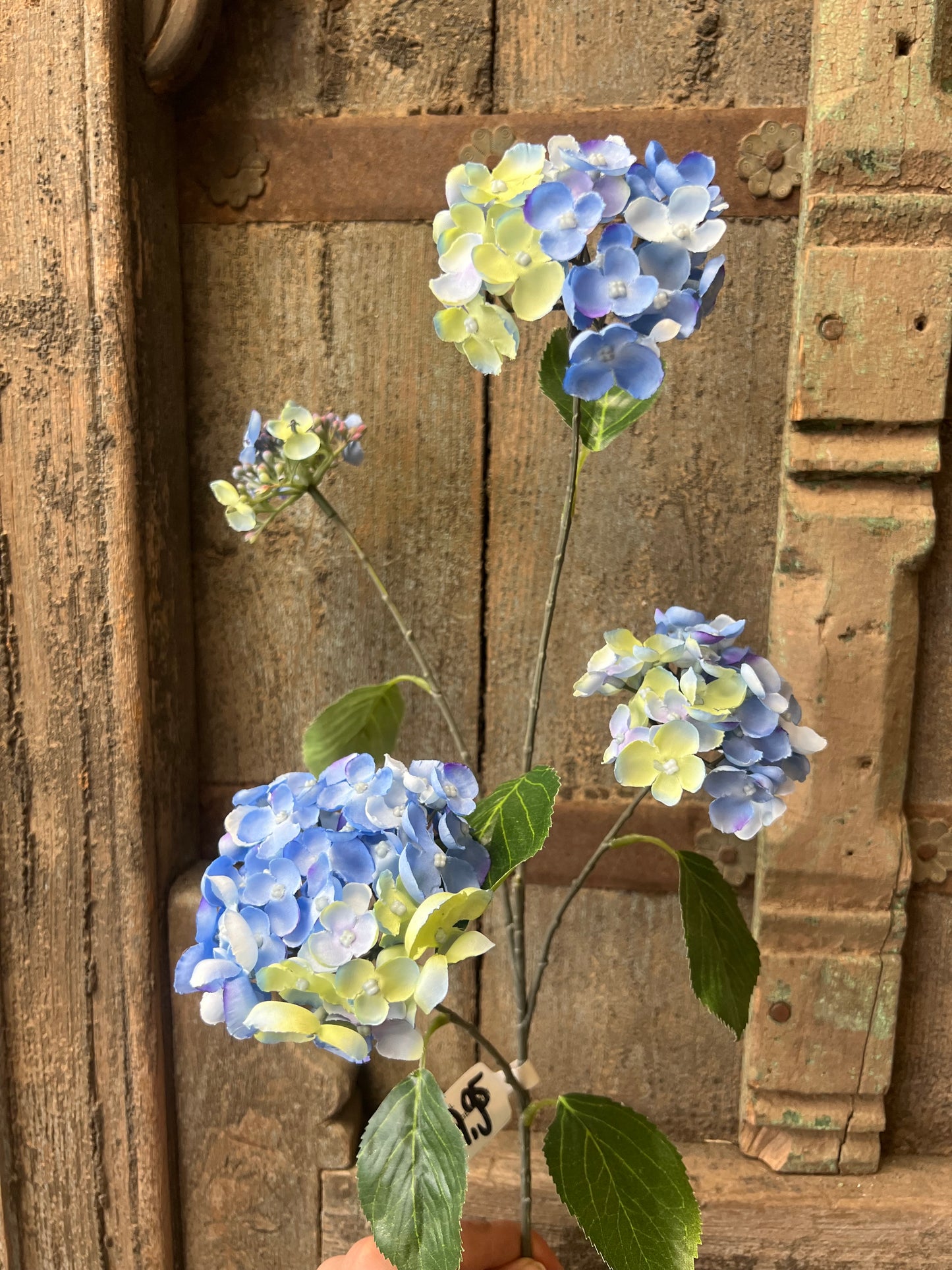 ZIJDEN | HORTENSIA | BLAUW | GROEN