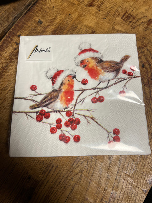 SERVETTEN | ROODBORSTJE | KERST