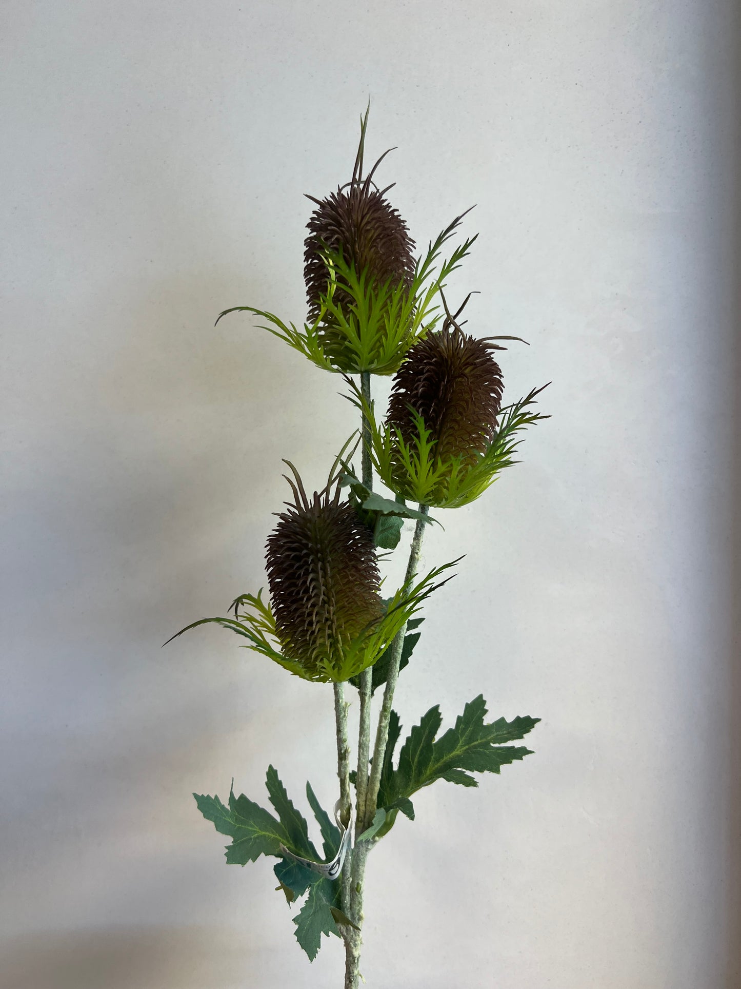 KUNST | DISTELS | PAARS | 69 CM