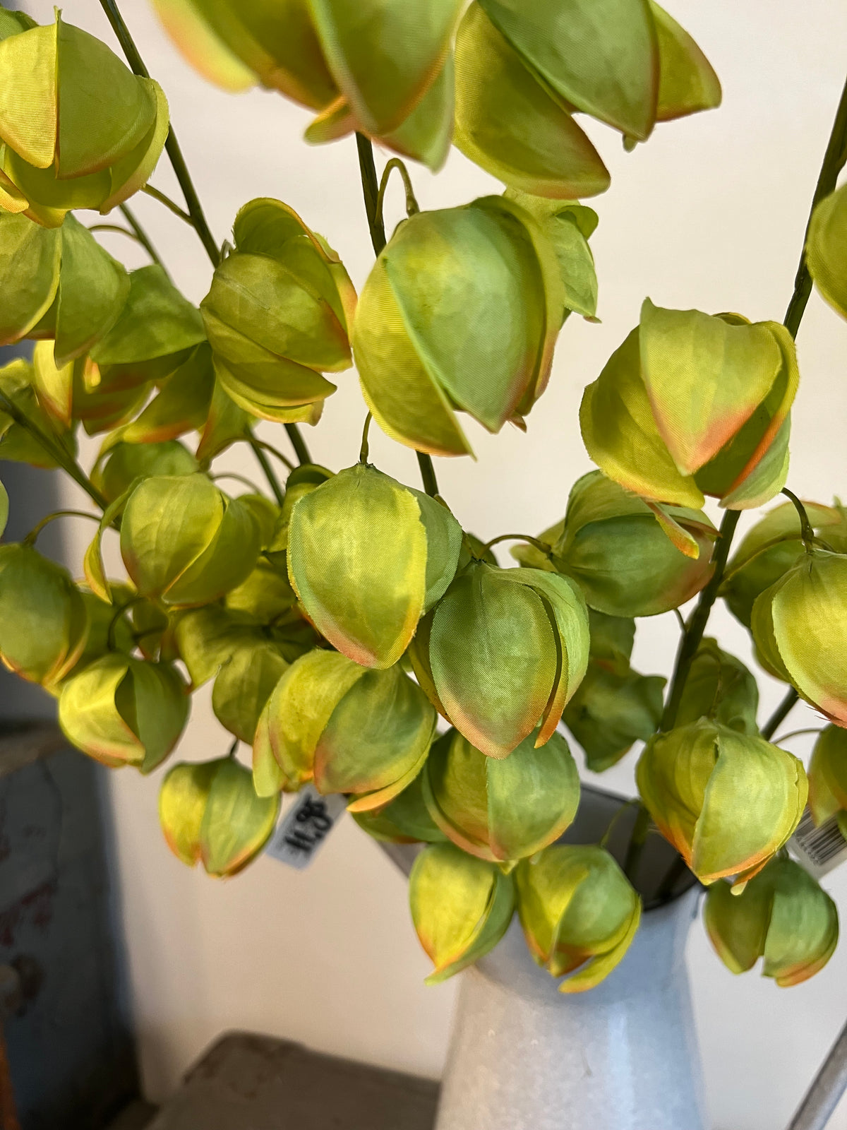 KUNST | PHYSALIS | LAMPIONS | GROEN