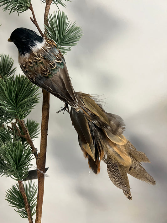 KUNST | VOGEL | MET | ECHTE | VEREN